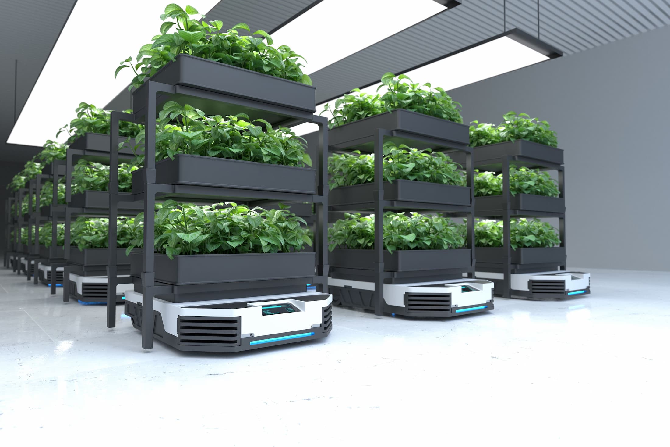 Indoor hydrocultuursysteem